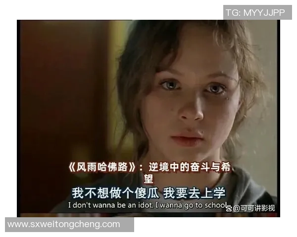 麦卡利斯特的传奇之路：从平凡到卓越的奋斗故事与启示