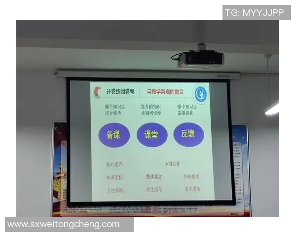 vs与am的模糊区别探讨及其在不同语境中的应用分析