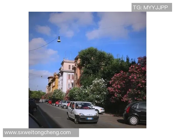 年轻人如何在罗马的古老魅力中找到现代生活的灵感与乐趣