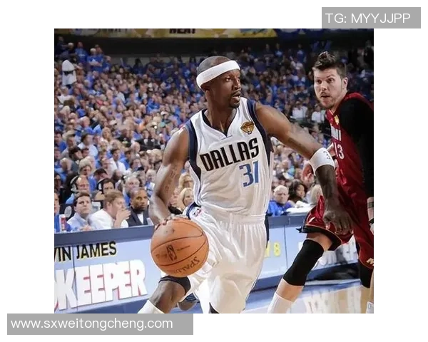 2011年NBA总决赛热火队与小牛队的激烈对决回顾与分析