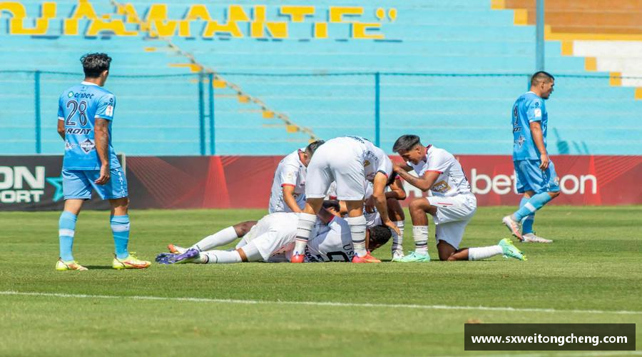 zoty中欧在线用汗水浇灌梦想的花朵！